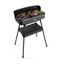 Fritel Barbecue BBQ 2246 BARBECUE 2200W